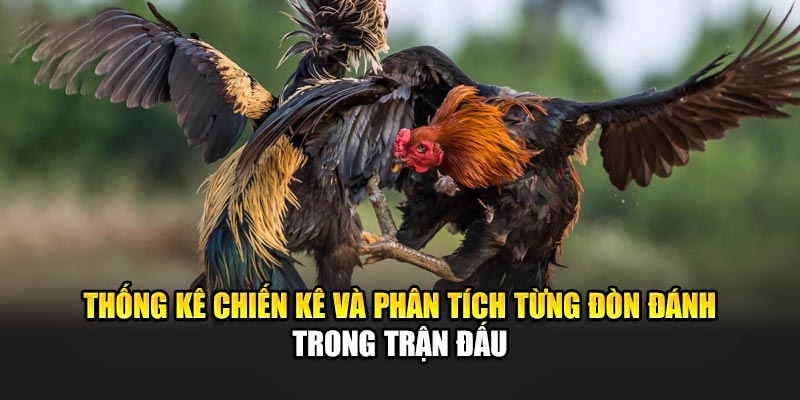 Thống kê chiến kê và phân tích từng đòn đánh trong trận đấu